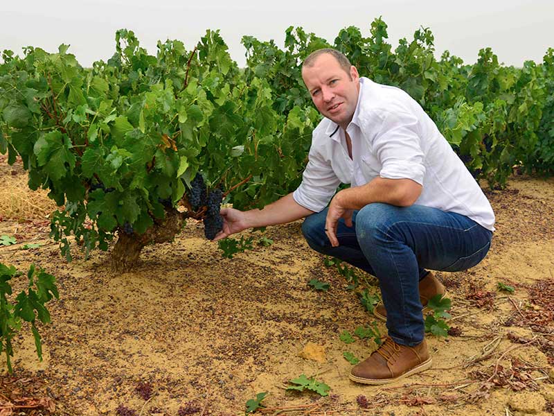 Francois van Niekerk's 2021 vintage update