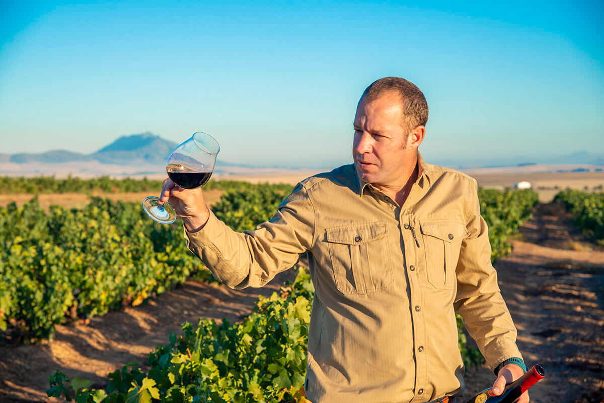 Francois van Niekerk Wines, Francois van Niekerk Pinotage, best Pinotage, best South African Pinotage, luxury wines, premium wines, best red wine, best South African red wine, Pinotage