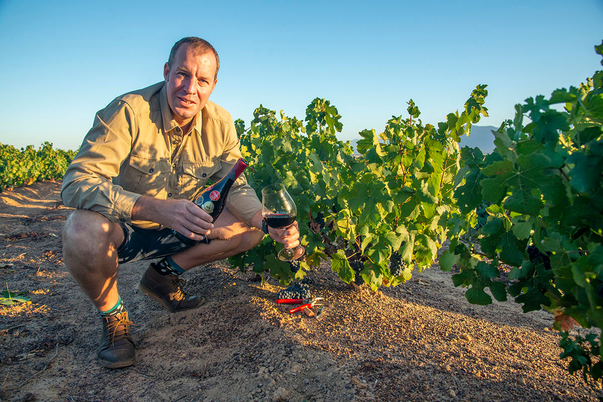 Francois van Niekerk Wines, Francois van Niekerk Pinotage, best Pinotage, best South African Pinotage, luxury wines, premium wines, best red wine, best South African red wine, Pinotage