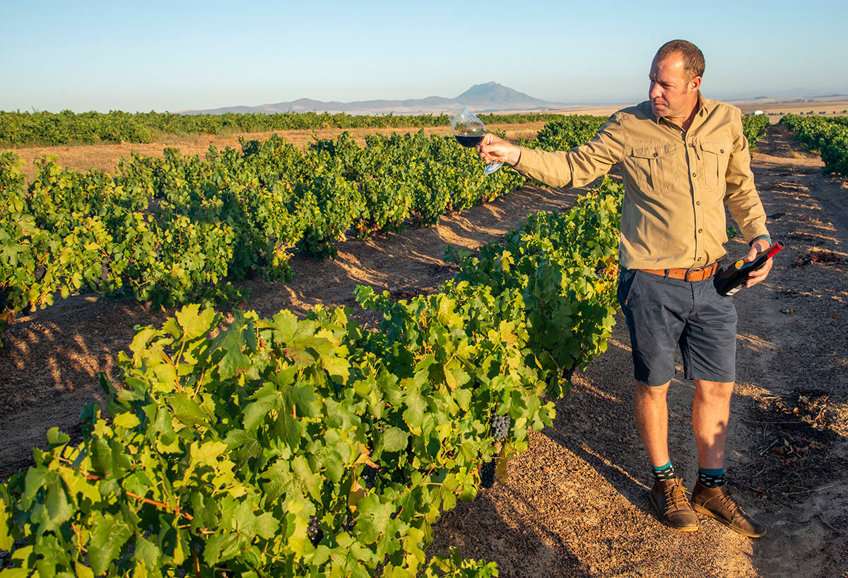 Francois van Niekerk Wines, Francois van Niekerk Pinotage, best Pinotage, best South African Pinotage, luxury wines, premium wines, best red wine, best South African red wine, Pinotage